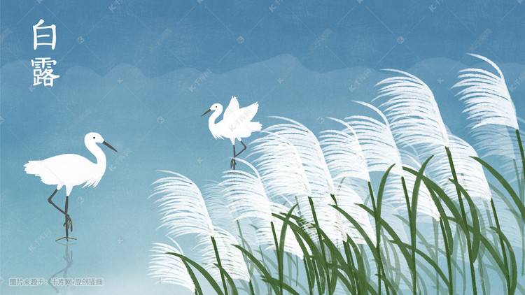 二十四節(jié)氣之白露｜蒹葭蒼蒼，白露為霜